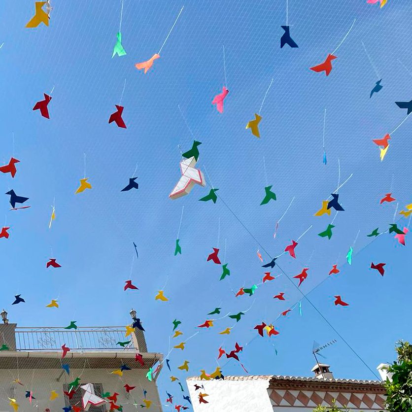 Dirección de Festivales culturales: Poesía, Narrativa, Filosofía, Cine...